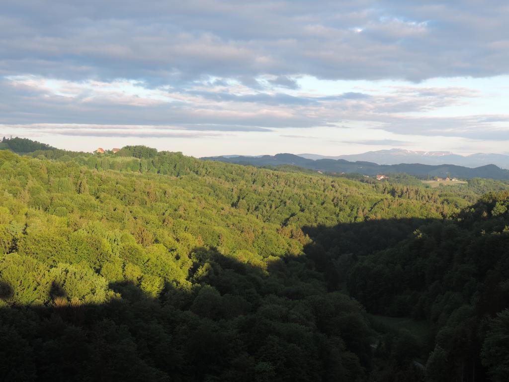 Weingut Gaestezimmer Gruber Эренхаузен Экстерьер фото
