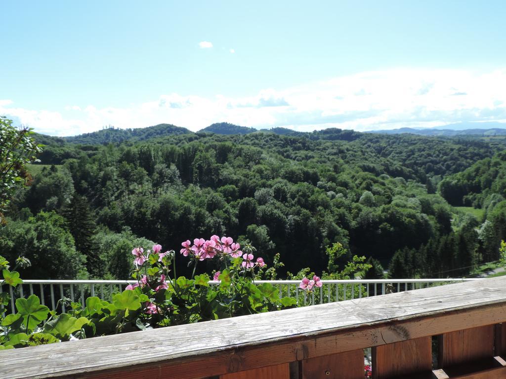Weingut Gaestezimmer Gruber Эренхаузен Экстерьер фото