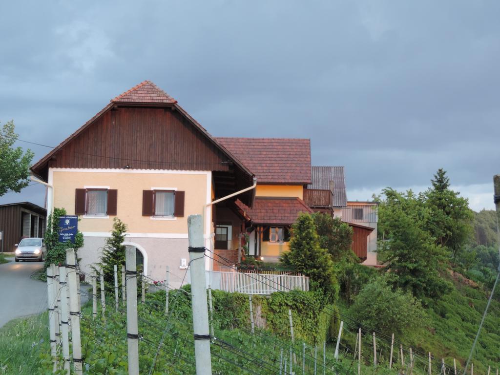 Weingut Gaestezimmer Gruber Эренхаузен Экстерьер фото