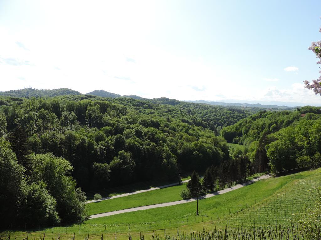 Weingut Gaestezimmer Gruber Эренхаузен Экстерьер фото